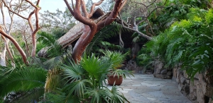 Entrance to common areas