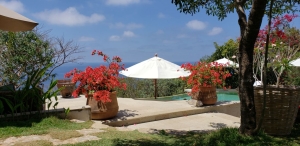 Infinity pool overlook