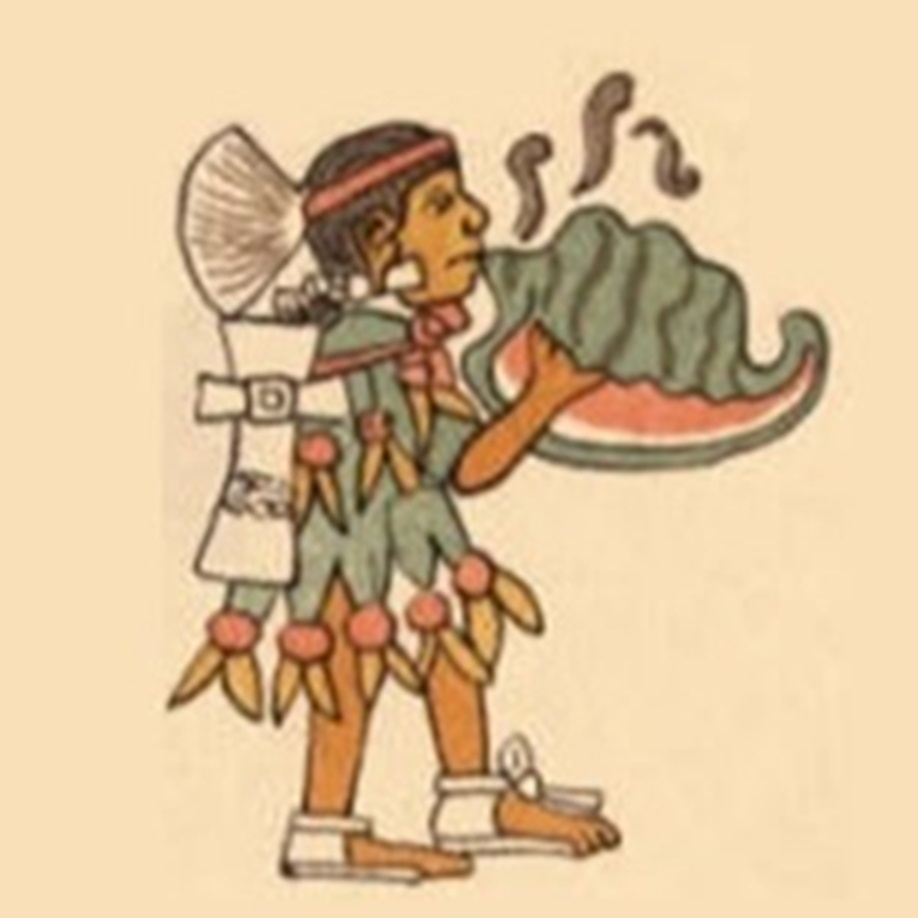 I hear their flower songs. Quiquizoani codex magliabecchi